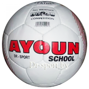 Мяч футбольный Ayoun SCHOOL №5